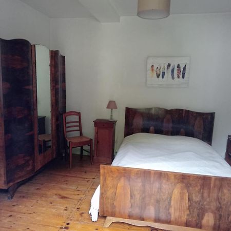 Maison Au Bord De La Riviere Dronne En Perigord Vert Saint-Front-la-Rivière Eksteriør billede