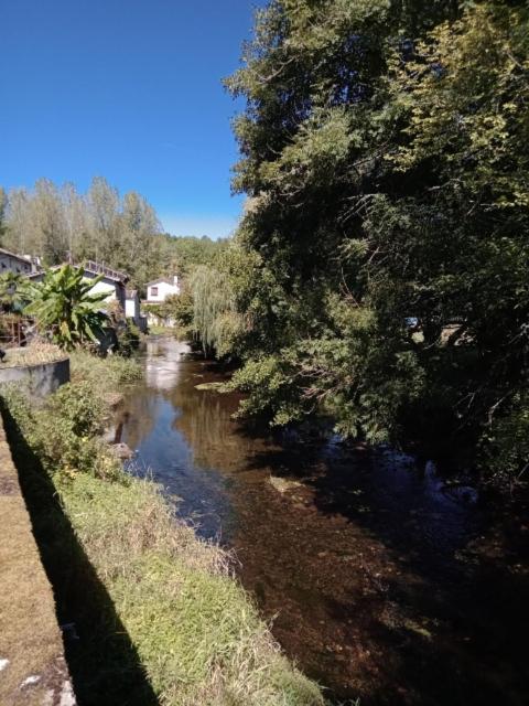 Maison Au Bord De La Riviere Dronne En Perigord Vert Saint-Front-la-Rivière Eksteriør billede